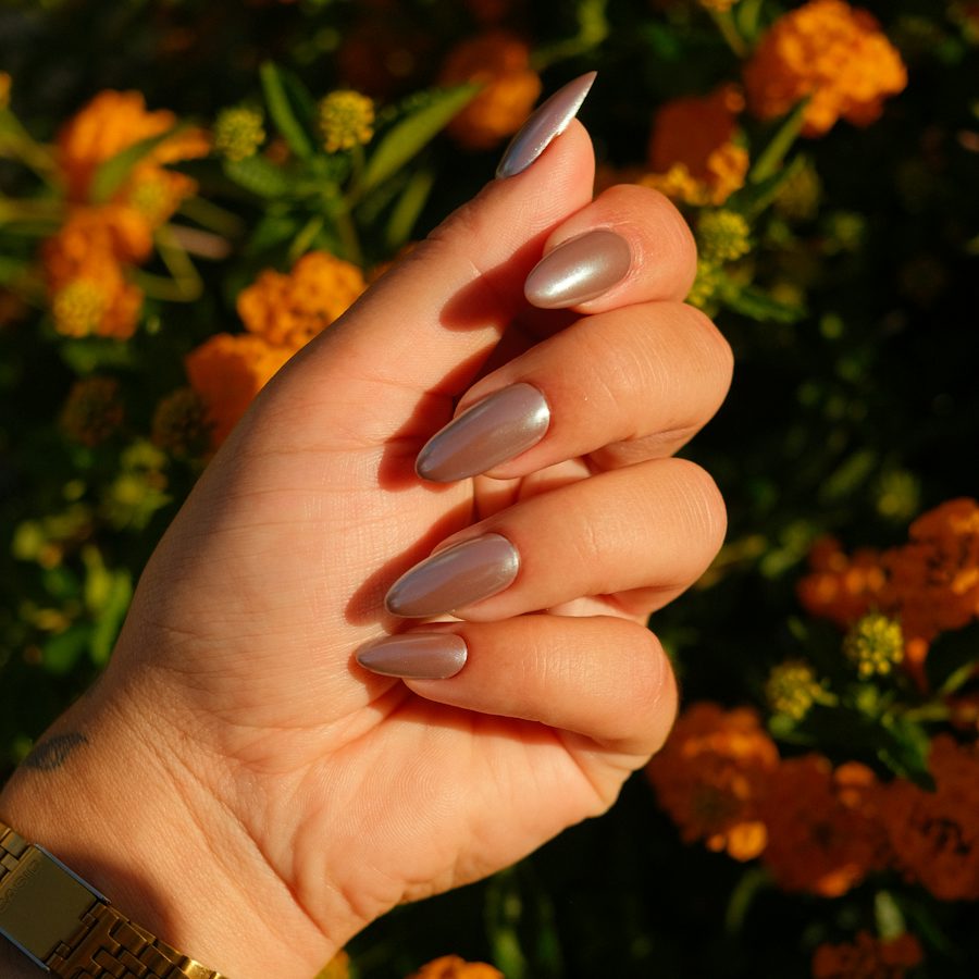 A neutral manicure holding a flower