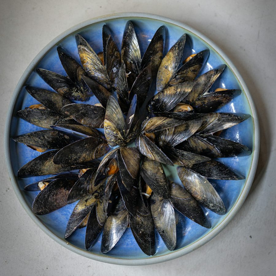 A plate of mussels