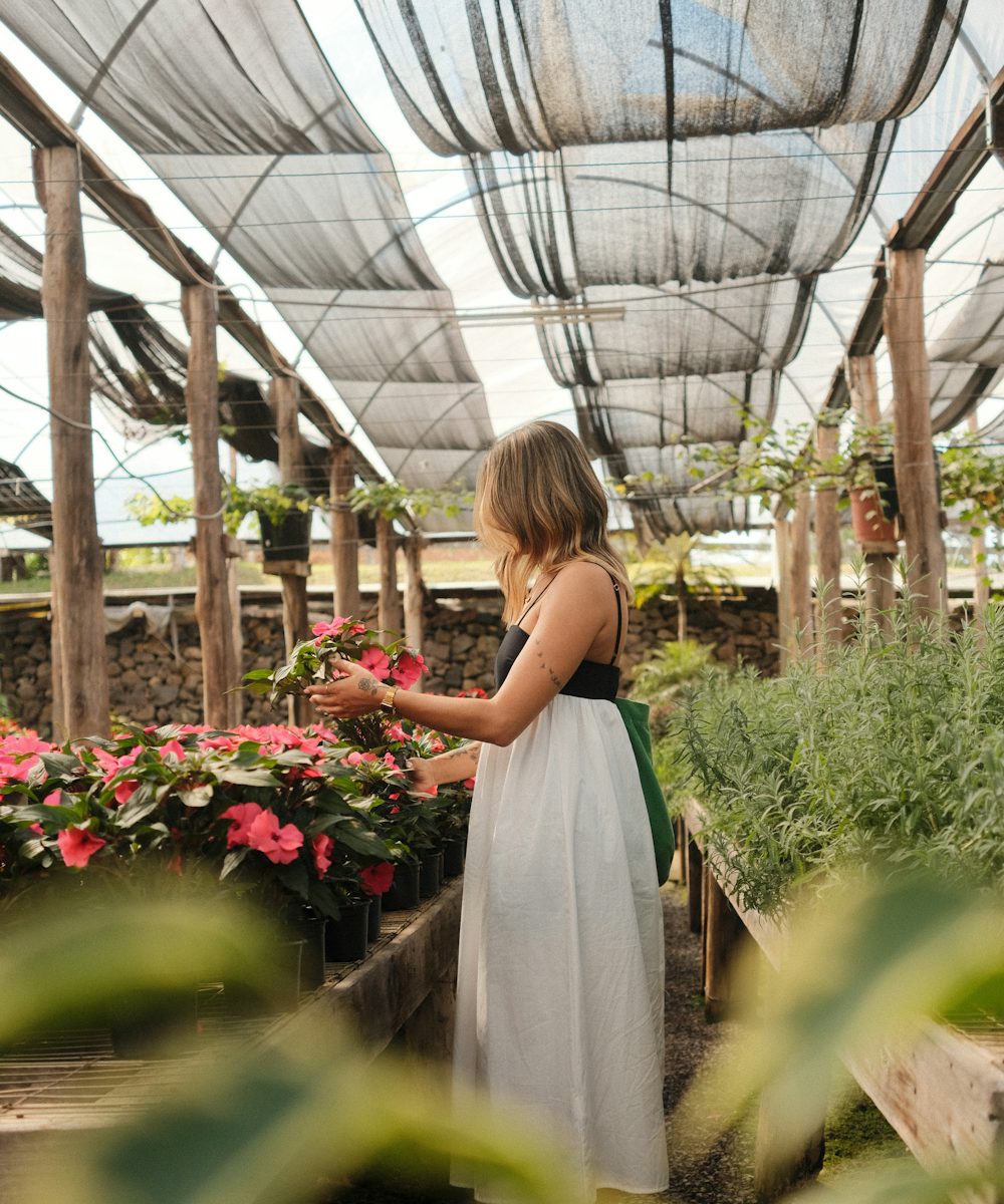 Choosing stems in a glasshouse full of flowers