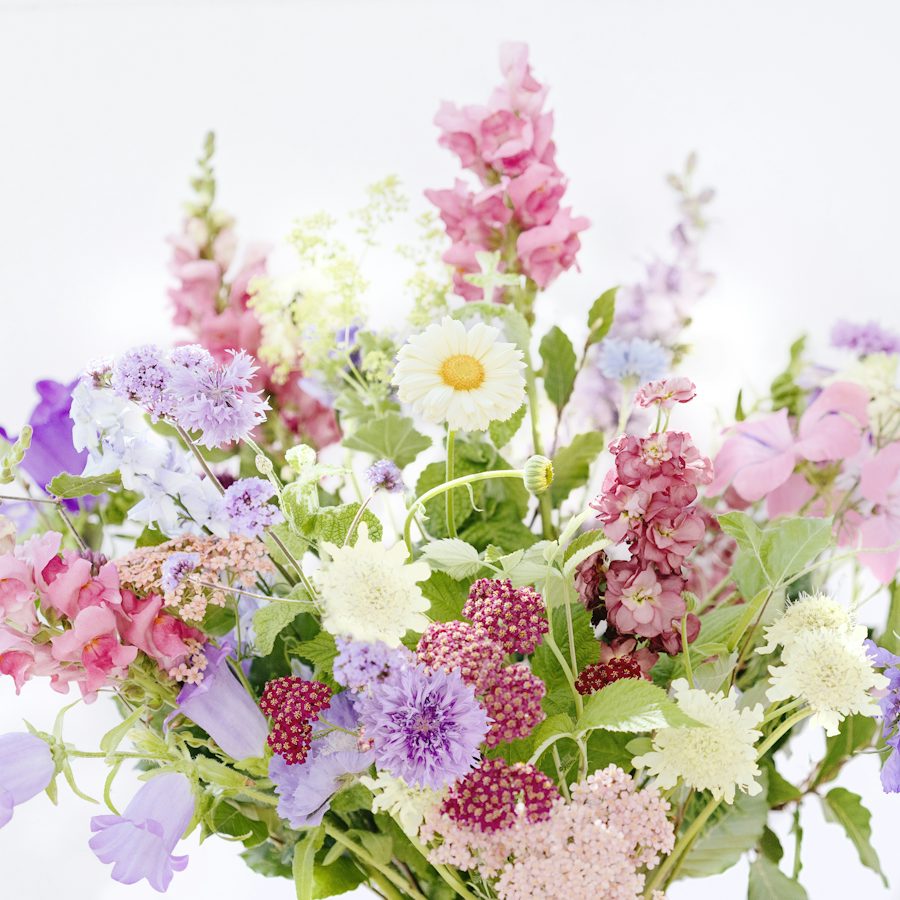 A bright bouquet of colourful seasonal flowers